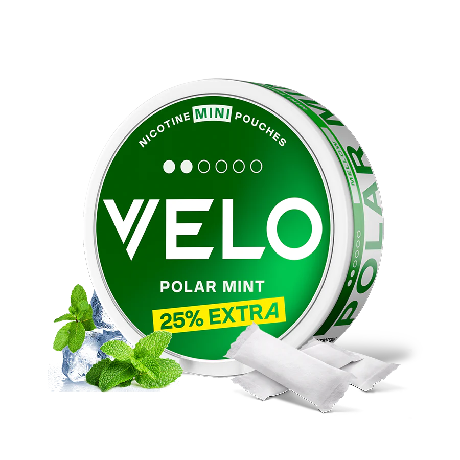 VELO POLAR MINT X10